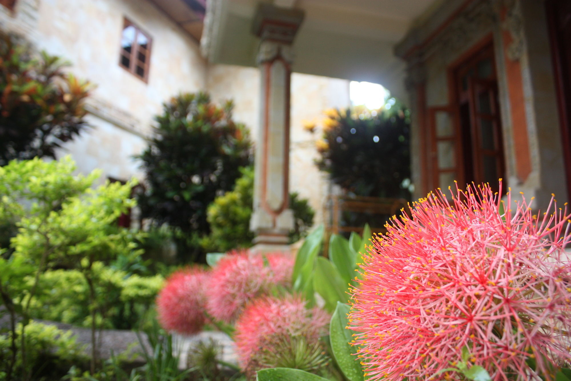 Rambutan Hotel Lovina Екстериор снимка